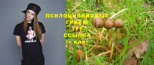 МДМА Алексеевка